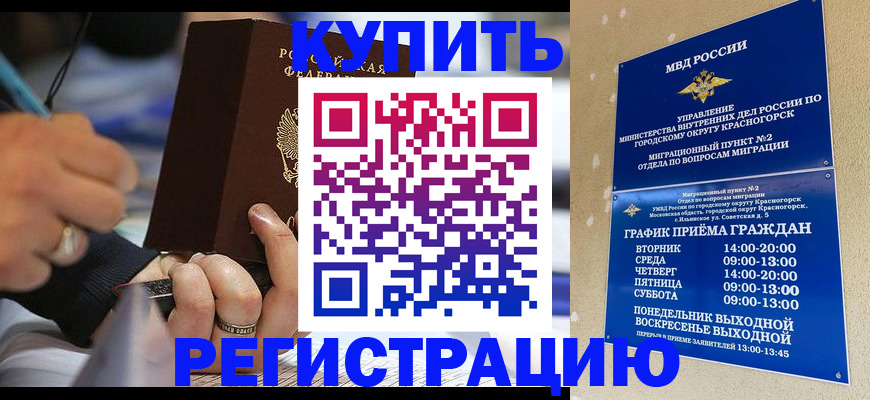 прописка поиск в Химках